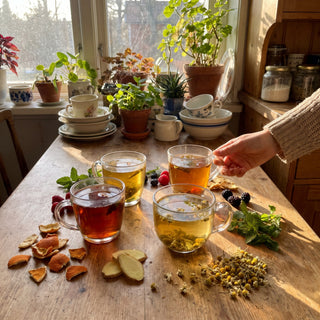 Floral, Fruity, Spiced or Zesty? Find Your Herbal Tea Flavour Profile - Vitorious