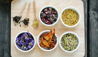 Immune Support for Every Season: Your Herbal Toolkit