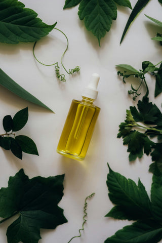 Plant-Based Oils: Ancient Wisdom for Modern Health
