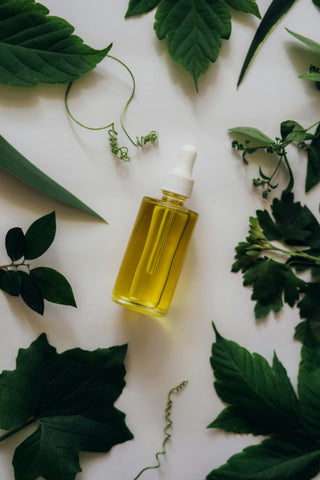 Plant-Based Oils: Ancient Wisdom for Modern Health - Vitorious