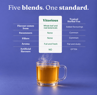 VitalGuard — Immune Support Tea | 150g - Vitorious